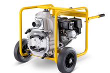 Load image into Gallery viewer, Pump Trash 2"