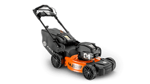 Load image into Gallery viewer, Lawn Mower RWD
